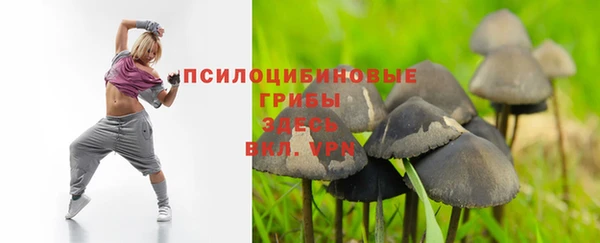 мет Новодвинск