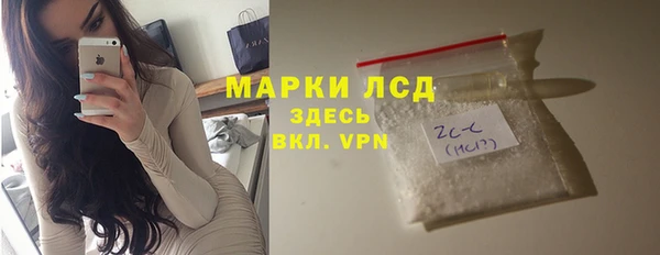 трава Новозыбков