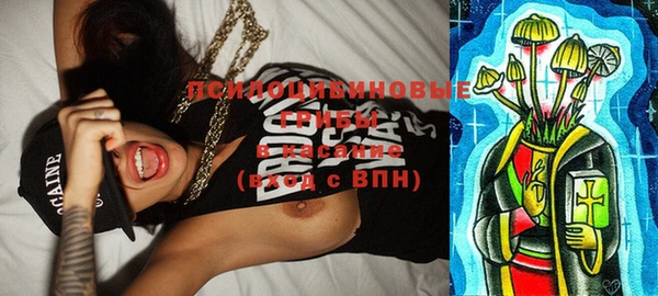 трава Новозыбков