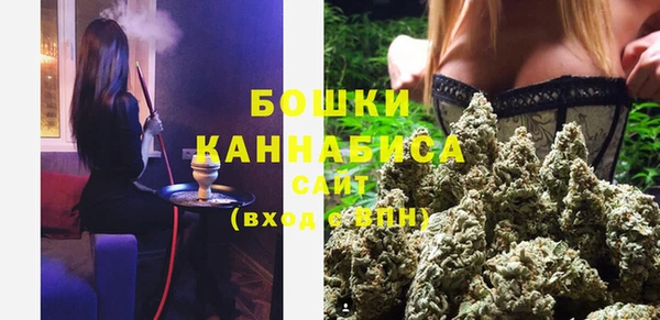гидра Новокубанск