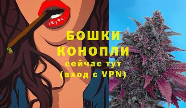 мет Новодвинск