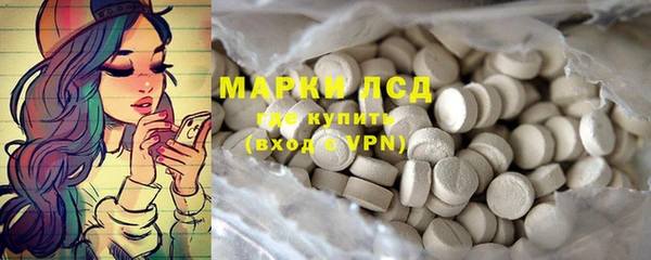 трава Новозыбков