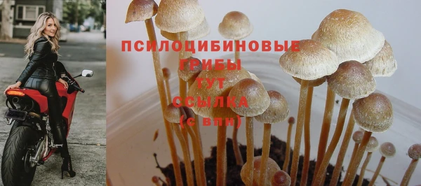 кокс Нязепетровск