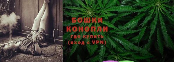трава Новозыбков