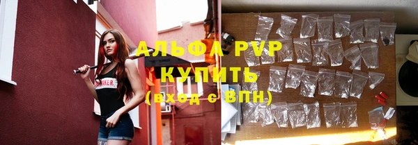 гидра Новокубанск